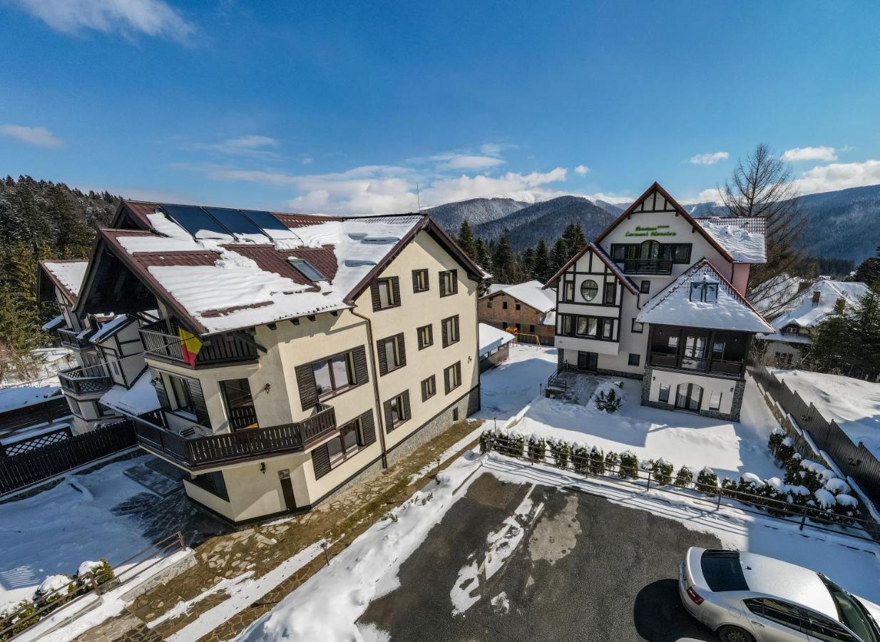Pensiunea Carmen'S Mansion B Sinaia Eksteriør billede