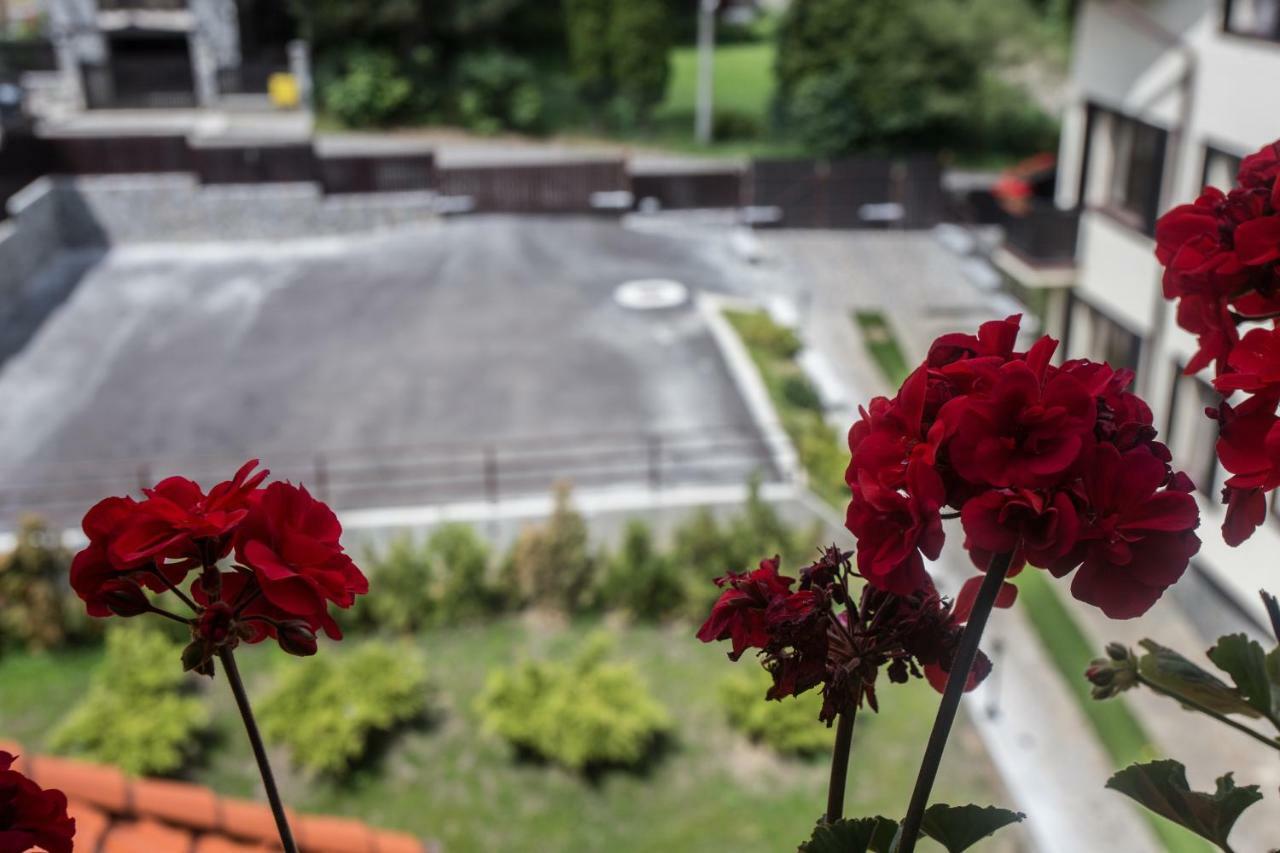 Pensiunea Carmen'S Mansion B Sinaia Eksteriør billede