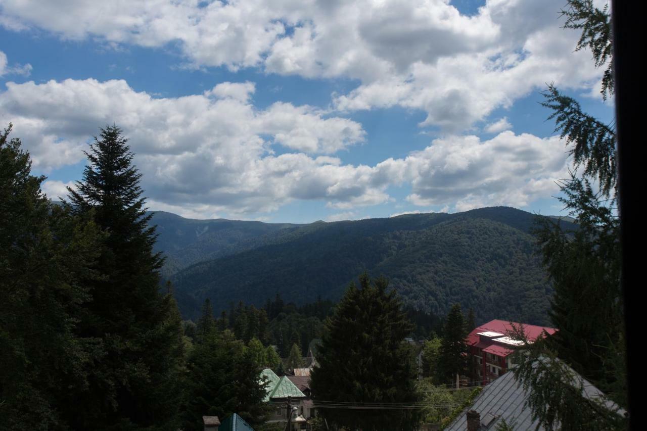 Pensiunea Carmen'S Mansion B Sinaia Eksteriør billede